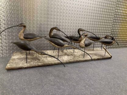 Eight large brown Curlews, all with large beaks, on a wooden base