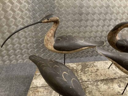 Guy Taplin Eight Curlews - Image 2