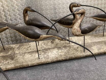 Guy Taplin Eight Curlews - Image 4