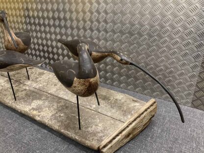 Guy Taplin Eight Curlews - Image 5
