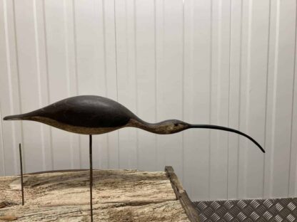 Guy Taplin Eight Curlews - Image 7