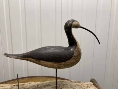 Guy Taplin Eight Curlews - Image 9