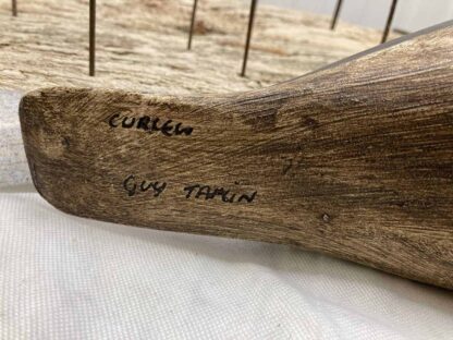 Guy Taplin Eight Curlews - Image 10