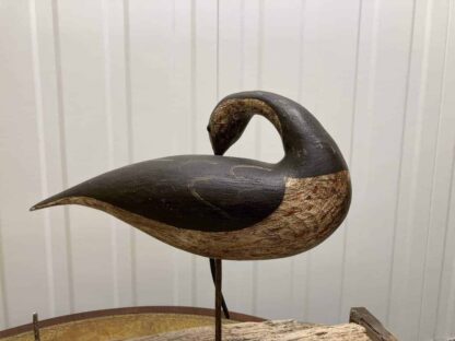 Guy Taplin Eight Curlews - Image 12