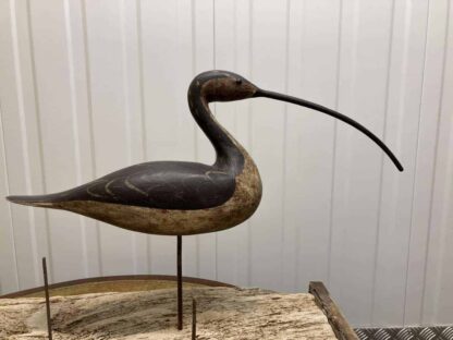 Guy Taplin Eight Curlews - Image 17