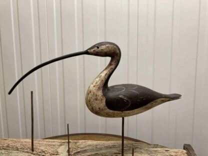 Guy Taplin Eight Curlews - Image 18