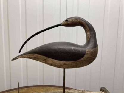 Guy Taplin Eight Curlews - Image 19