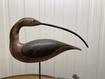 Guy Taplin Eight Curlews - Image 20