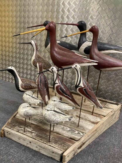 Guy Taplin Fourteen Birds - Image 3