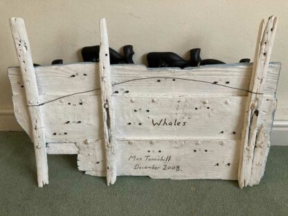 Max Tannahill Sixteen Whales - Image 4