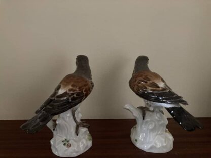 Meissen Pair of Thrush - Image 3