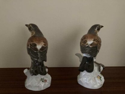 Meissen Pair of Thrush - Image 4
