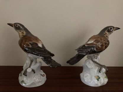 Meissen Pair of Thrush - Image 5