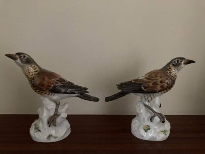 Meissen Pair of Thrush - Image 6