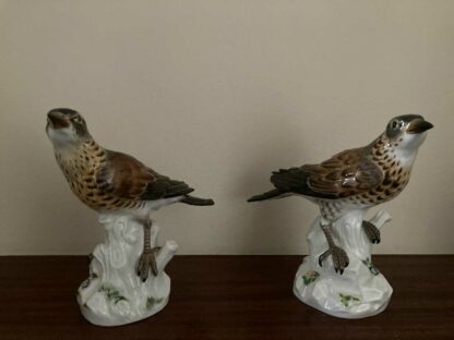 Meissen Pair of Thrush - Image 7