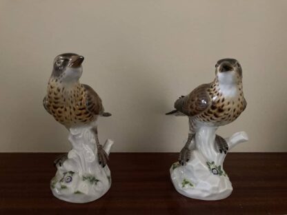 Meissen Pair of Thrush - Image 8