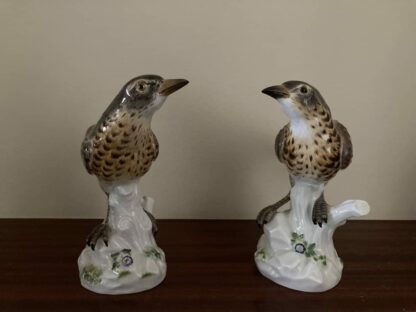 Meissen Pair of Thrush - Image 9