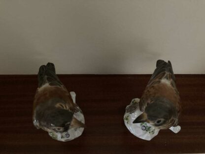 Meissen Pair of Thrush - Image 10