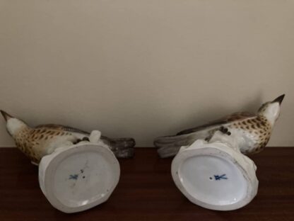 Meissen Pair of Thrush - Image 11