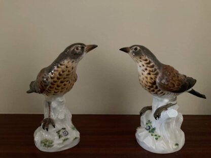 Meissen Pair of Thrush